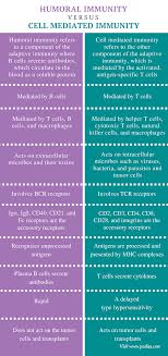 Difference Between Humoral And Cell Mediated Immunity Definition Characteristics How They Ac In 2020 Antigen Presenting Cell Biology Notes Nursing School Essential