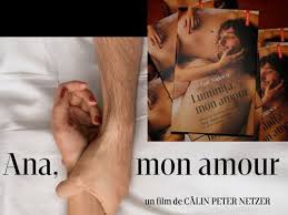 An Interesting Duo Calinpeternetzer S Movie Ana Mon Amour And Cezarpaulbadescu S Book Luminita Mon Amour Complete Each Other And Ma Reading Film Books