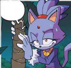 Check spelling or type a new query. Zero Context Blaze Idw Spoilers Sonicthehedgehog