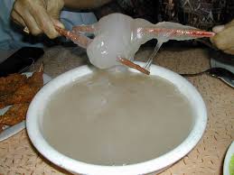 Rajawisata Papeda Atau Bubur Sagu Merupakan Makanan Pokok Masyarakat Maluku Dan Papua Indonesiaculinery Makanan Apel Masakan