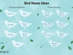 Boy names starting with p ; Names For Pet Birds