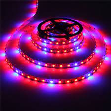 Red and blue grow lights. Led Plant Grow Lights 5050 Led Strip 5m Lot 60leds M Dc12v Red Blue 3 1 4 1 5 1 For Greenhouse Hydroponic Plant Growing Aliexpress