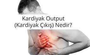 kardiyak cikis kardiyak output nedir anatomi rehber hayat