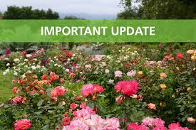 Descanso gardens members do not need a ticket. Descanso Gardens On Twitter Descanso Gardens Will Reopen Beginning Saturday May 16 All Non Members Must Buy Tickets In Advance Via Our Website Members Can Enter Without An Advance Ticket No Tickets Will