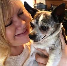 Guardian Animal Care Pet Sitting Service