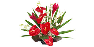Check spelling or type a new query. Hawaiian Flowers Of The Month Tropical Flowers From Hawaii