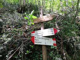 Un basolato di pietra lavica di origine romana, bellissima da percorrere. Escursione Anello Del Monte Cavo Ed Il Sentiero Degli Acquedotti Avventurosamente