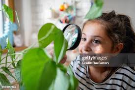 478 Magnifying Glass Painting Stock Photos, High-Res Pictures, and Images