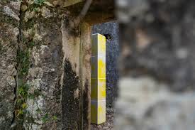 MARIA ANA VASCO COSTA