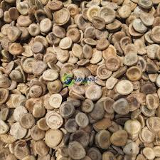 Image result for Strychnos