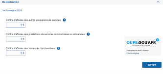 Prestation de service commerciale auto entrepreneur. Le Guide Declarer Tes Revenus Et Payer Tes Cotisations Sociales Staffme