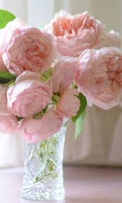 Support us by sharing the content, upvoting wallpapers on the page or sending your own. Free Download Soft Pink Peonies Bouquet Wallpaper For 768x1280 768x1280 For Your Desktop Mobile Tablet Explore 40 Pink Peonies Wallpaper Peony Wallpaper Peony Flower Wallpaper Peony Screensavers And Wallpaper
