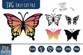 Download Layered Butterfly Svg Clipart Graphic By Pila Studio Creative Fabrica