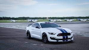 Gt350r Oxford White Blue Stripes