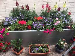 Orthodox seed can germinate before it looks mature. Pin On Fridge