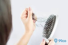 Hal ini berkaitan dengan sebuah usaha yang mungkin selama ini telah anda lakukan namun malah memberikan sebuah hasil yang tak sesuai harapan. 10 Arti Mimpi Rambut Panjang Pertanda Keberuntungan