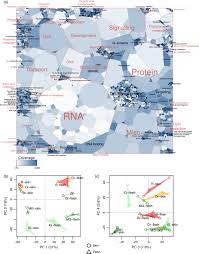 *corresponding author for this work. Label Free Deep Shotgun Proteomics Reveals Protein Dynamics During Tomato Fruit Tissues Development Szymanski 2017 The Plant Journal Wiley Online Library