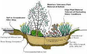 Make sure the bottom of the garden is leveled. Rain Gardens Delaware Watersheds
