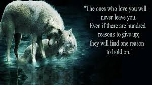 No Wolf Left Behind Lebensweisheiten Tumblr Spruche Freundschaft Zitate