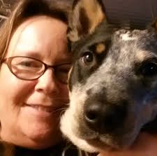 Liquid for reheating dry pulled pork in crockpot?