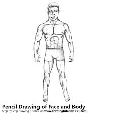 Face And Body Pencil Drawing How To Sketch Face And Body Using Pencils Drawingtutorials101 Com The proportions are different for females.