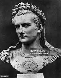 294 3741 Getty Stock Photos, High-Res Pictures, and Images