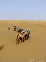 The taklamakan desert (also taklimakan) is a desert of central asia, in the xinjiang uyghur autonomous region of the people's republic of china. 14 Days Taklamakan Desert Camel Trekking Tour From Darya Boyi To Mazar Tagh West China Expeditions