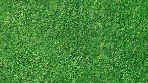 Grass 3d Model Grass Textures Grass Wallpaper Grass Background