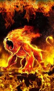 The great collection of 2020 free fire mobile wallpapers for desktop, laptop and mobiles. Free Download Fire Wallpapers Hd Android Apps On Google Play 480x800 For Your Desktop Mobile Tablet Explore 48 Fire Hd Wallpaper App Kindle Fire Hd Wallpaper App Find Wallpaper