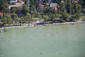 Attrakció balatonfenyves fejlesztés fürdés nyaralás strand szabadstrand vízi csúszda már várja a fürdőzőket a mintegy 113 millió forintból felújított balatonfenyvesi vízi csúszda a központi szabadstrandon, amelynek egyik ága 120 méter hosszú és 11 százalékos lejtésű, a másik pedig közel 40 méter hosszú. Index Belfold Nyilt Levelben Koszonte Meg A Ferfi Az Osszefogast Amivel Megmentettek Aposa Eletet Balatonfenyvesen
