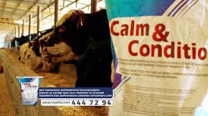 Besi Sakinlestirici Yem Katki Urunu Calm Codition Royal Ilac Youtube