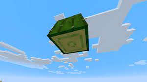 Prickles the cactus cat is flowering! Were The Bottom Textures Of Cactus Just Never Changed Minecraft
