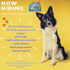 What are you waiting for? Welcome Phoenix Md Jacksonville Veterinary Hospital