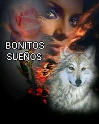 89 ideas de Panteras felino