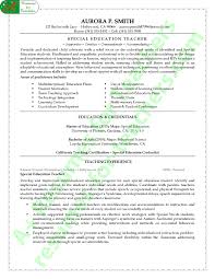 Special Education Teacher Resume Example