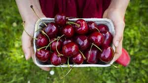 7 Health Benefits Of Cherries Health Benefits Of Cherries Coconut Health Benefits Lemon Benefits