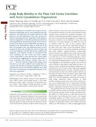 Über 7 millionen englische bücher. Https Academic Oup Com Pcp Article Pdf 52 10 1844 17114235 Pcr122 Pdf