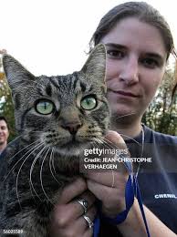 170 Jean Appleton Stock Photos, High-Res Pictures, and Images