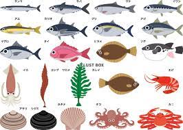 魚介類 海産物 魚 セット：イラスト無料