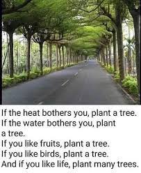 Making A Change Together On Instagram There S No Reason To Do Nothing If You Want Change What Do You Guys Think Follow T Save Nature Trees To Plant Plants