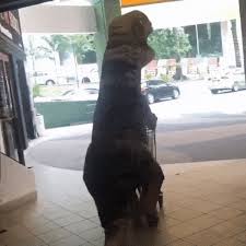 If you've fomo because you don't live in gif from gifer.com. This Dinosaur Was Spotted At Jaya Grocer During Mco Takes Protective Gear To The Next Level Thesmartlocal Malaysia Travel Lifestyle Culture Language Guide