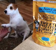Freeze Dried Yogurt For Dogs Called Fro Yo To Go Millions Of Live Active Probiotic Cultures And Only 11 Calories Yogurt For Dogs Yogurt Flavors Food Topper