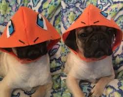 Dog Costume Bulbasaur Dog Costume Halloween Pokemon Dog Hoodie Etsy Dog Halloween Costumes Dog Costume Dog Pokemon