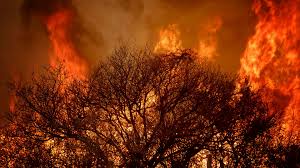 80 casas quemadas este miércoles. Incendios En Cordoba Infobae