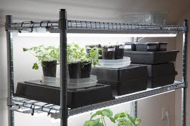 Excess light can damage your cannabis plants as much as too little light. Complete Diy Guide To Build Indoor Grow Light And Seed Starting System
