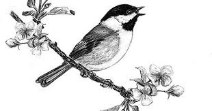 Download this premium vector about hoopoe bird singing cartoon vector illustration, and discover more than 10 million professional graphic resources on freepik. Birds Singing Bird Bird Draw Bird On Flowers Singing Drawing Animal Paintings Birds Tattoo