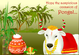 पोंगल पर आप इन whatsapp messages, greetings. Pongal Wishes Posts Facebook