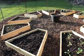 am anfang stellt sich immer die frage nach der anordnung der beete im gemusegarten hier wurden die be raised garden vegetable garden raised beds veggie garden