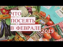 юлия миняева во саду ли в огороде новое 2019 Chto Poseyat V Fevrale Pochemu Vazhno Soblyudat Sroki Youtube