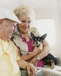 Alaska airlines makes it possible for the whole boarding with animals: Alaska Airlines Pet Policies